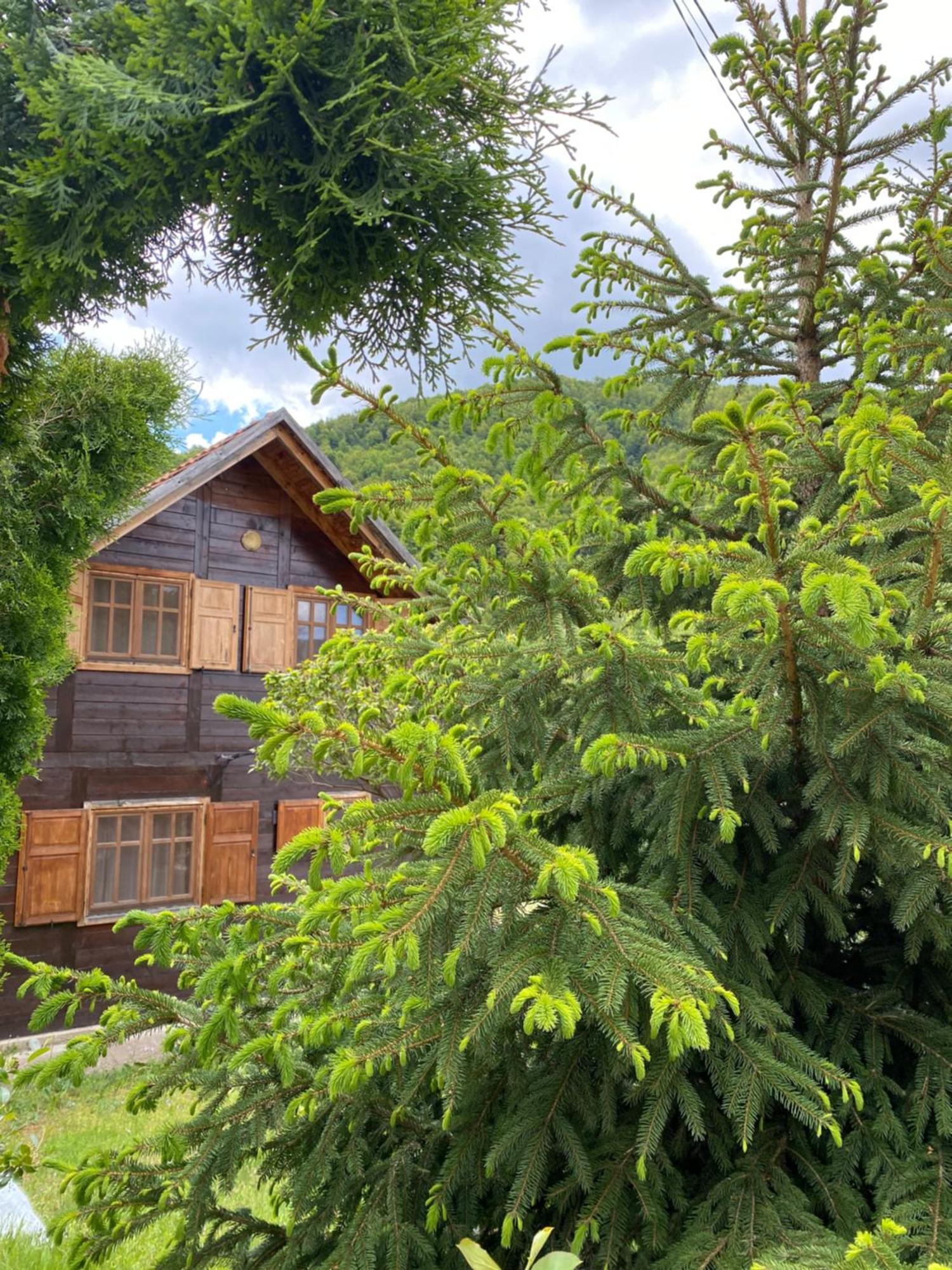 Aphrodite Hills Apartments-Stara Planina Crni Vrh Exterior foto