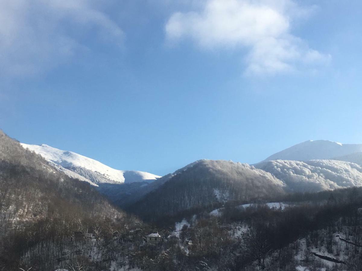 Aphrodite Hills Apartments-Stara Planina Crni Vrh Exterior foto